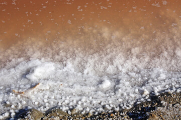 paysage dans les marais salants