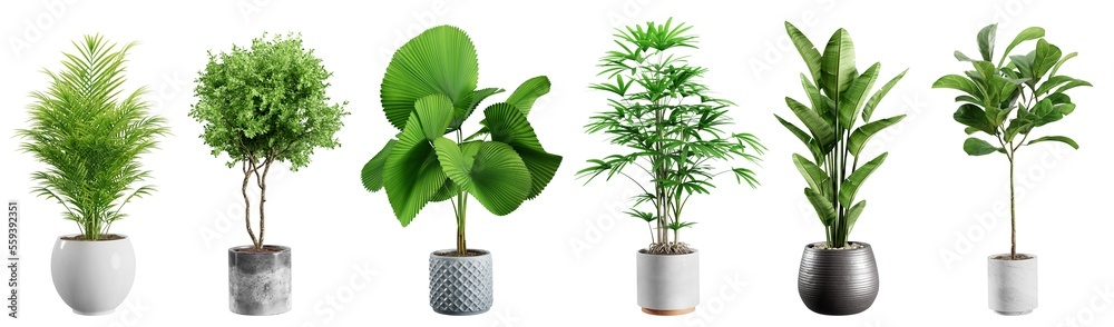 Poster collection of beautiful plants in ceramic pots isolated on transparent background. 3d rendering.