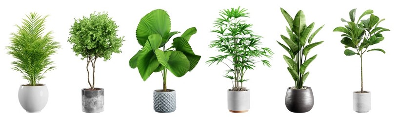 Collection of beautiful plants in ceramic pots isolated on transparent background. 3D rendering.