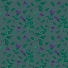 Petunia multiflora flowers, buds and leaves vector image pattern on green backgound