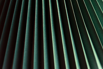 Minimalistic green dynamic background with diagonal lines, curtains, abstract dark geometric shape from fabrics with soft shadow background, top view
