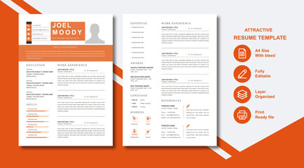 professional resume template
