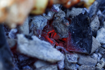 Red charcoal in a fire. Kharkov. Ukraine