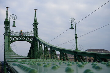 Freedom bridge, Budapest, Hungary