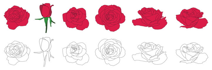 Red Rose and Outline Flower Illustration Set. Isolated Collection on White Background