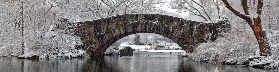 Photo sur Plexiglas Pont de Gapstow Gapstow Bridge in Central Park, snow storm