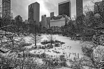 Central Park in winter , snow storm