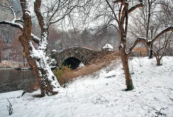 Photo sur Plexiglas Pont de Gapstow Gapstow Bridge in Central Park, snow storm