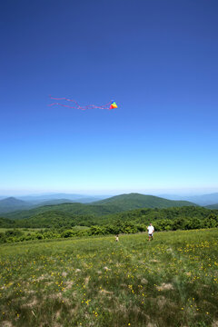 Father and son fly a kite in the wildflower covered open fields along the Appalachian Trail atop Max Patch Bald west of Ashevill