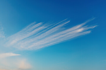 Cirrus clouds in the daytime blue sky