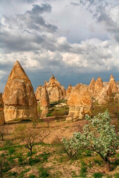 Phallic shaped towers of tufa in Love Valley near Goreme at dawn.