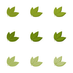 A vector drawn bay leaf illustration with various colors and amount of details