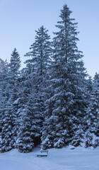 Einsame Bank neben einem verschneiden Wald
