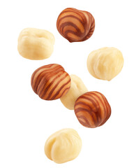 Falling Hazelnut peeled, isolated on white background, clipping path, full depth of field