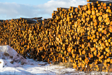 beautiful, colorful firewood stack, stacked logs for transport to the port, energy crisis, fuel for...