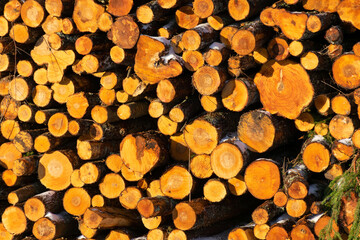 beautiful, colorful firewood stack, stacked logs for transport to the port, energy crisis, fuel for home heating