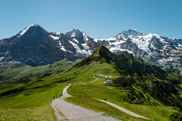 Scenic and sunny mountain landscape with a path crossing green alpine meadows near Jungfrau in Switzerland  - obrazy, fototapety, plakaty