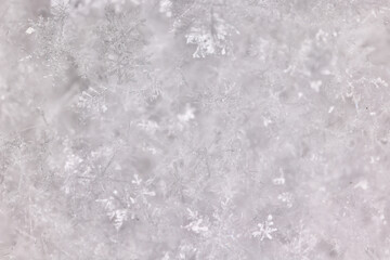 ice snow crystals background abstract white winter