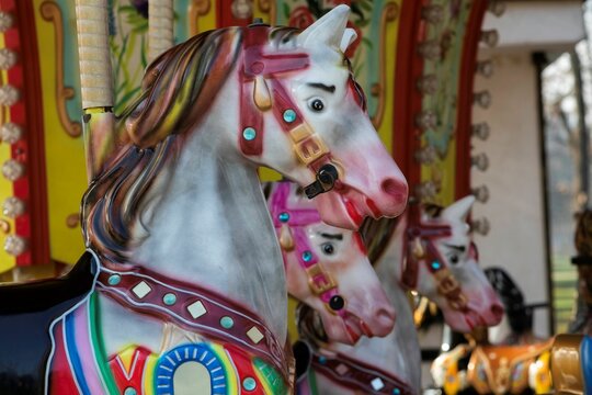 plastic horse on an old carousel