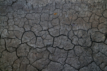 cracks on the ground desert texture background earth climate ecology