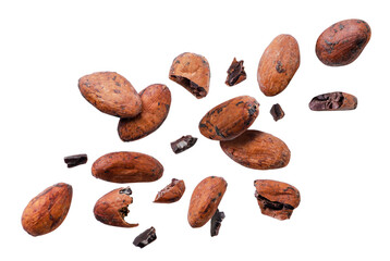 Cocoa beans and pieces fly on a white background. Isolated - 559434107