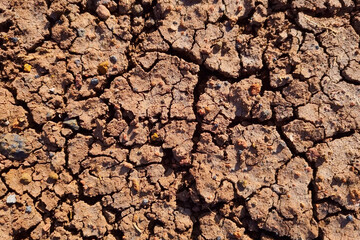 Texture of cracked red earth. Earth background. Red earth on Mars.