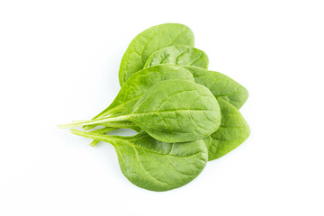 Green spinach on a white background