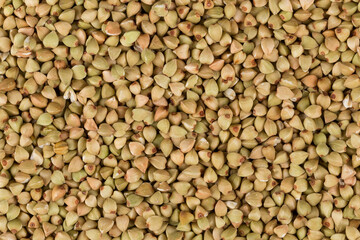 organic bio buckwheat