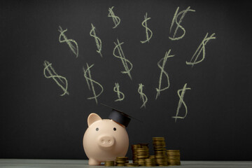 Piggy bank with money stack step up growing growth saving money, Concept financial business investment. Copy space