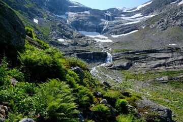 Naklejka na ściany i meble Beautiful views in Jostedalsbreen National Park - during trekking to Jostedalsbreen Glacier, Norway