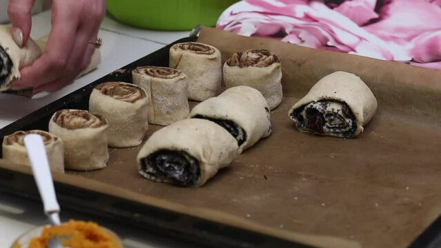 A woman lays a chopped roulet of dough with raisins and poppy seeds on a baking sheet. Makes cinnamon buns. Close-up.