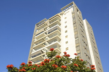 A cozy white balcony in an apartment high-rise building. Blooming African tulip tree near the...
