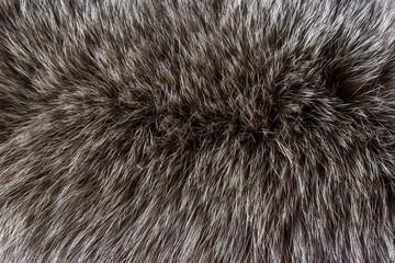 gray fur texture abstract background