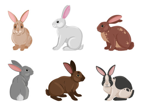 Cartoon cute bunnies. Funny rabbits, spring eared hare animals, white and brown fluffy domestic bunnies flat vector illustration set on white background