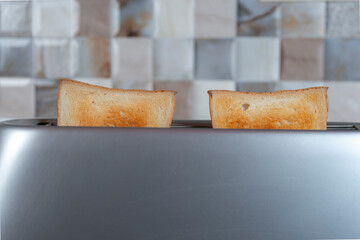 bread in the toaster. kitchenware