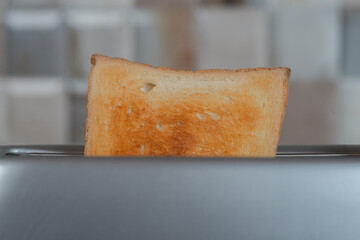 Fototapeta premium bread in the toaster. kitchenware