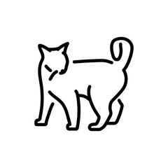 Playful cat standing color line icon. Pictogram for web page