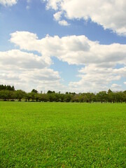 草原と林のある初秋のみさと公園風景