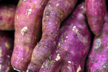 Sweet potato in market stall display on Sao Paulo city, Brazil