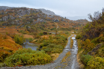 autumn in the mountains