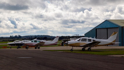 Line up of single engined monoplane training aircraft.
