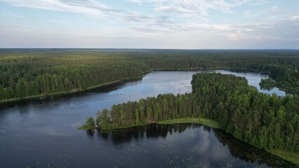Fototapeta na wymiar Amazing panoramic view of the lakes in the forest! The view from the drone. 