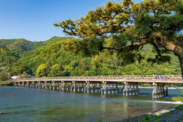 Fototapeta premium 新緑の渡月橋・桂川