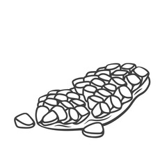 Pomegranate slice line icon vector illustration. Hand drawn outline fresh ripe fruit cut into section with juicy vitamin seeds on peel, organic open sweet pomegranate piece to eat and make juice