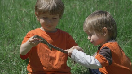 Portrait of little blonde hair and blue eyes boy sit on grass hold a snake