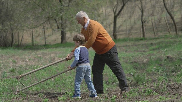 Elderly man shows his grandson how to use the hoe