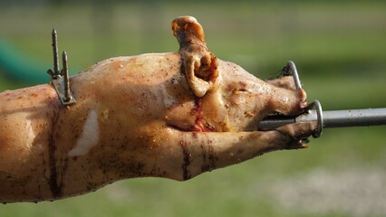 Detail of pig roasting, tasting meal © MEDIAIMAG