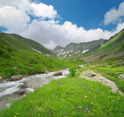 Fototapeta na wymiar River panorama in mountain valley.