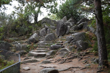 natureza, buraco, rocha, arborizar, molhar, árvore, paisagem, córrego, fluvial, montagna, cascata, rocha, madeira, árvore, parque, musgo, ajardinar, viagem, verão, primavera, caminho, beldade, cercar,