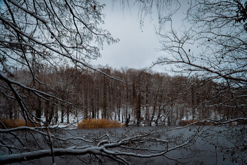Schlachtensee in Berlin im Winter